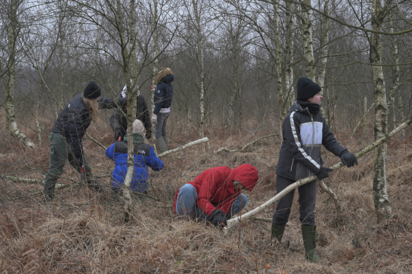 Entkusselung im Moorgebiet_C.Rueckriem