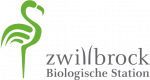 bsz_logo_gruen